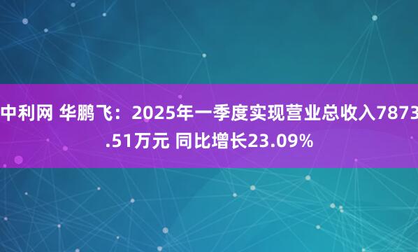 中利网 华鹏飞：2025年一季度实现营业总收入7873.51万元 同比增长23.09%