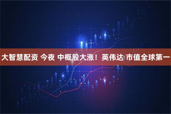 大智慧配资 今夜 中概股大涨！英伟达 市值全球第一